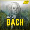Download track Violin Concerto No. 2 In E Major, BWV 1042 II. Adagio