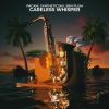 Download track Careless Whisper