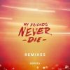 Download track My Friends Never Die (Little People Remix)