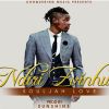 Download track Ndiri Zvinhu