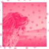 Download track Background For Calming Dogs