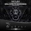 Download track Welcome To Darkness (Original Mix)