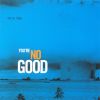 Download track You're No Good (1967)