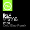 Download track Trust In'the Wind (Driftmoon Rework)