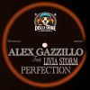 Download track Perfection (Original Mix)