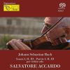 Download track Partita No. 2 Per Violino Solo In Re Minore, BWV 1004. Sarabanda