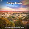 Download track Ruhige Musik Pt. 63