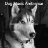 Download track Piano Jazz Soundtrack For Cute Dogs