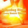 Download track Disco House Session