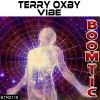 Download track Vibe (Brainz Edit)