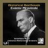 Download track Symphony No. 7 In A Major, Op. 92: III. Presto