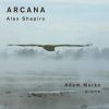 Download track Arcana: IV. Reach To Light