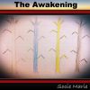 Download track The Awakening