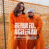 Download track Acelerao