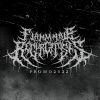 Download track Grotesque Collections Of Dismembered Mortals