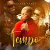 Download track Tempo