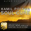 Download track Soul Cure (Alive Stone Remix)