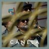 Download track Canela [Duck Sessions] (Radio Edit)