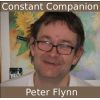 Download track Constant Companion