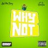 Download track Why Not