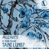 Download track Is Your Name Tang Lung? (Paul Bones RMX)