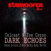 Download track Dark Echoes (Ean Nice Remix)