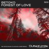 Download track Forest Of Love (Stan Kolev & Matan Caspi Dub)