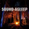 Download track Calming Fireplace Crackling Sounds In A Forest Clearing, Pt. 4