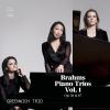 Download track String Sextet No. 2 In G Major, Op. 36 (Arr. For Piano Trio By Theodor Kirchner): IV. Poco Allegro