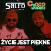 Download track Życie Jest Piękne (Extended)