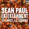 Download track Entertainment (Remix)