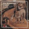 Download track Symphony No. 2 In E-Flat Major, Op. 29: III. Adagio, Ma Non Troppo, Cantabile