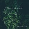 Download track Sense Of Calm
