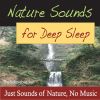 Download track Wilderness Stream (Deep Sleep White Noise)