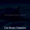 Download track Atmospheric Music For Resting Cats