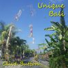 Download track Unique Bali Theme