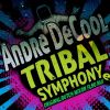 Download track Tribal Symphony (Dutch Mix)