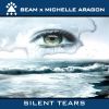 Download track Silent Tears (Michael Urgacz Radio Mix)