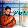 Download track Gabru