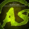 Download track Celestial Soul (Sebastian Sellares Remix)