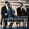 Download track Arpeggione Sonata D 821 - I. Allegro Moderato (Remastered 2021, Live 1961)