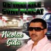 Download track Nu Ma Dau Pe Lumea Toata