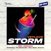 Download track Storm (The Bestseller Remix)