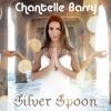 Download track Silver Spoon