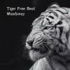 Download track Tiger