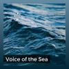 Download track Soothing Ocean Sounds