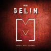 Download track Delin