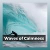 Download track Waves From The Pacific Ocean, Pt. 2