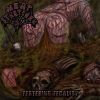 Download track Minced Meat Menstruation