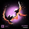 Download track Scared